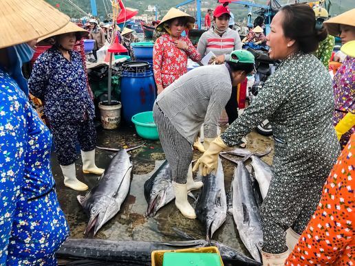 站在鱼旁边的女人(woman standing near fish)