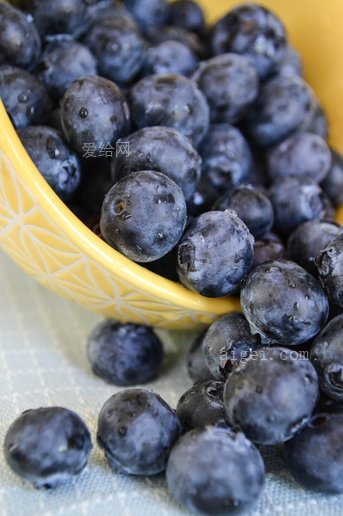 食物水果蓝莓越橘(food fruits blueberries huckleberries)