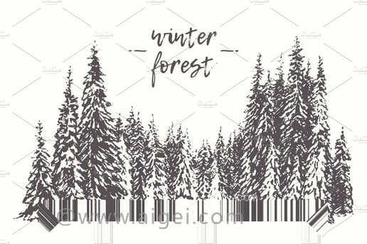 冬季松林(winter pine forest)
