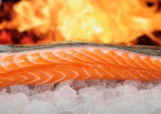 冰烤三文魚(salmon-fish-food-on-ice-grilled)