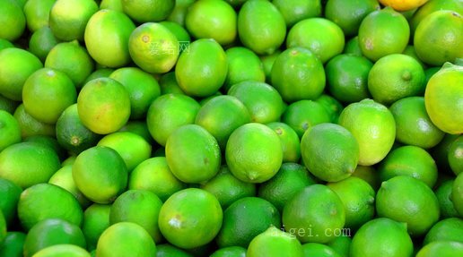 青柠果出售(green-limes-fruit-for-sale)