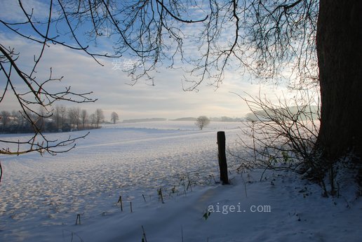 季節, 冰, 霜凍(winter, frozen, trees, white, cold, season, ice