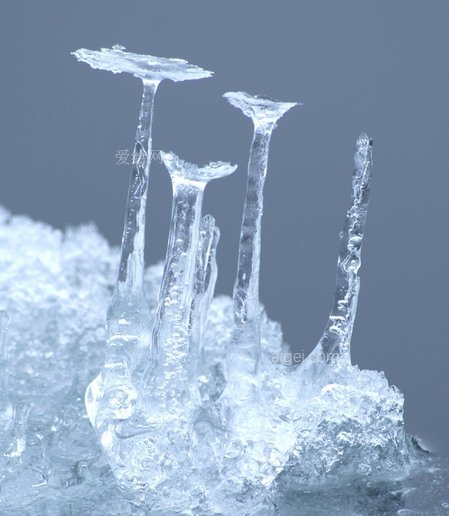 冰, 冰柱, 寒冷, 海, 凍結, 凍結的, 自然(ice, icicle, cold, sea